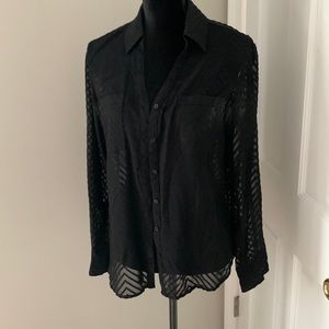 Express medium see through medium button down shirt